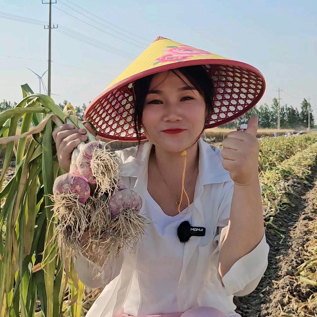 旺满田农科李光蒜种-耿玲