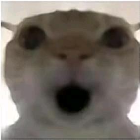 和平和地铁我超级菜！