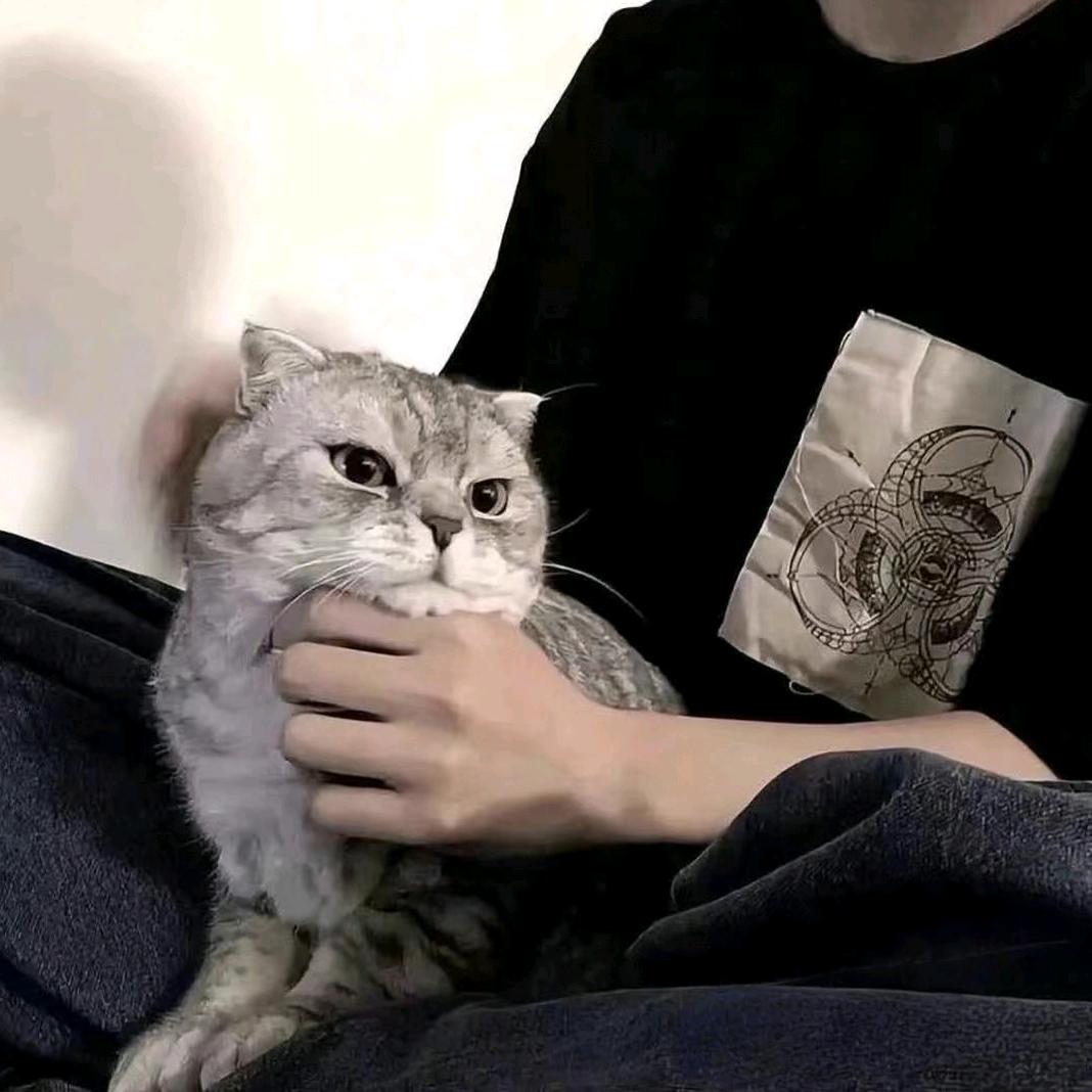 折枝寄与相思