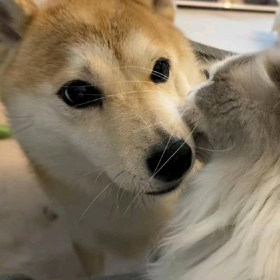 ζั͡北ۣۖ柚ۣۖิ҉ۣۖ✾