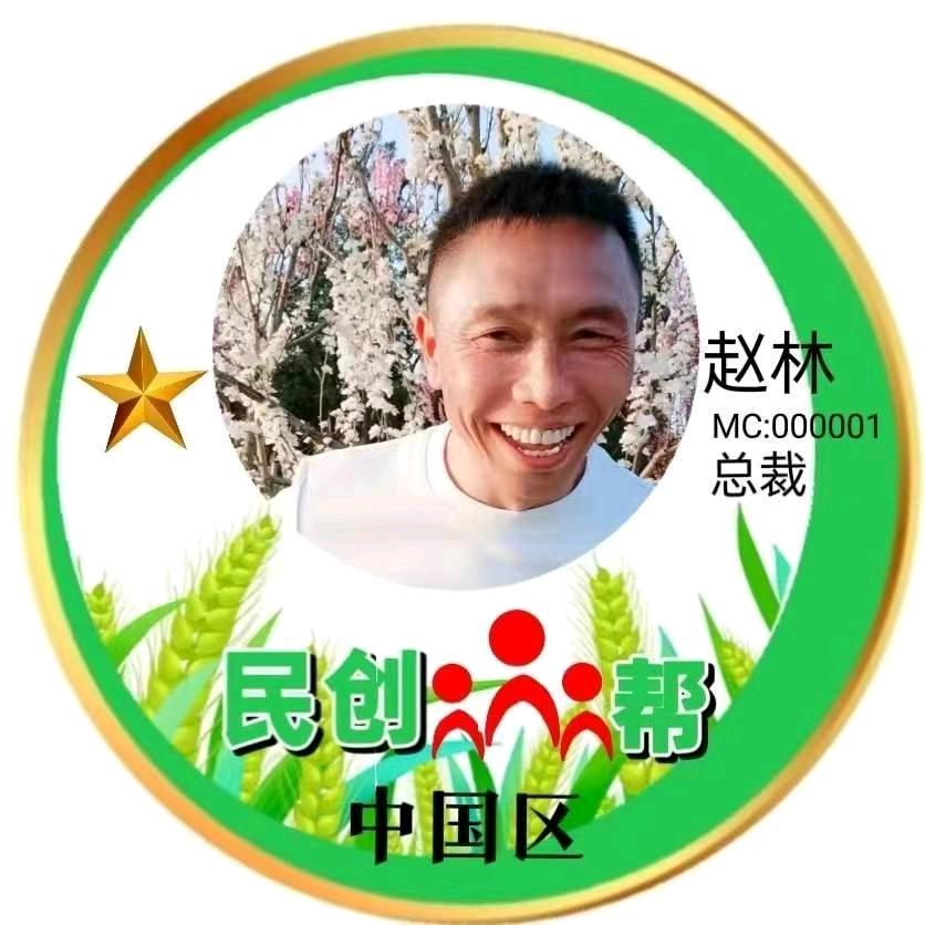 民创众帮（林总）