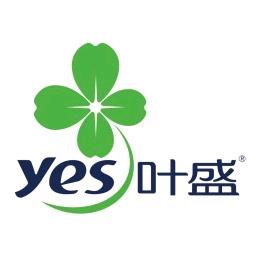 河南叶盛（运营中心）