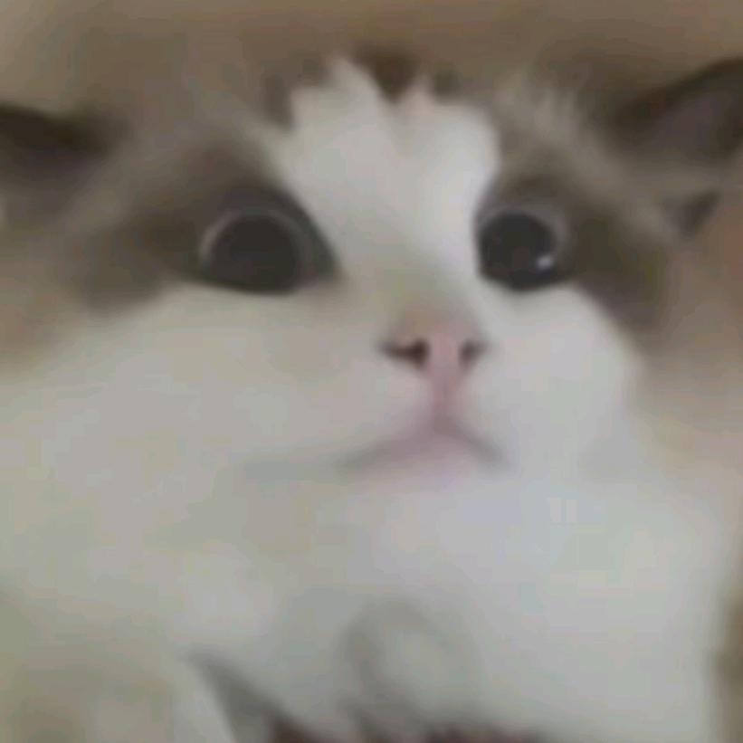 时间时间时间
