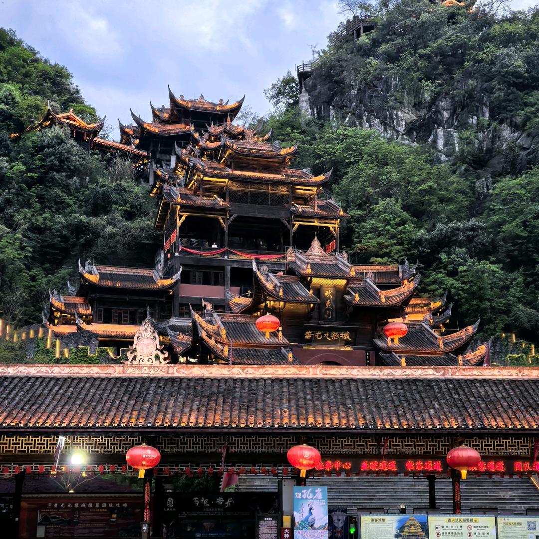 荆品园