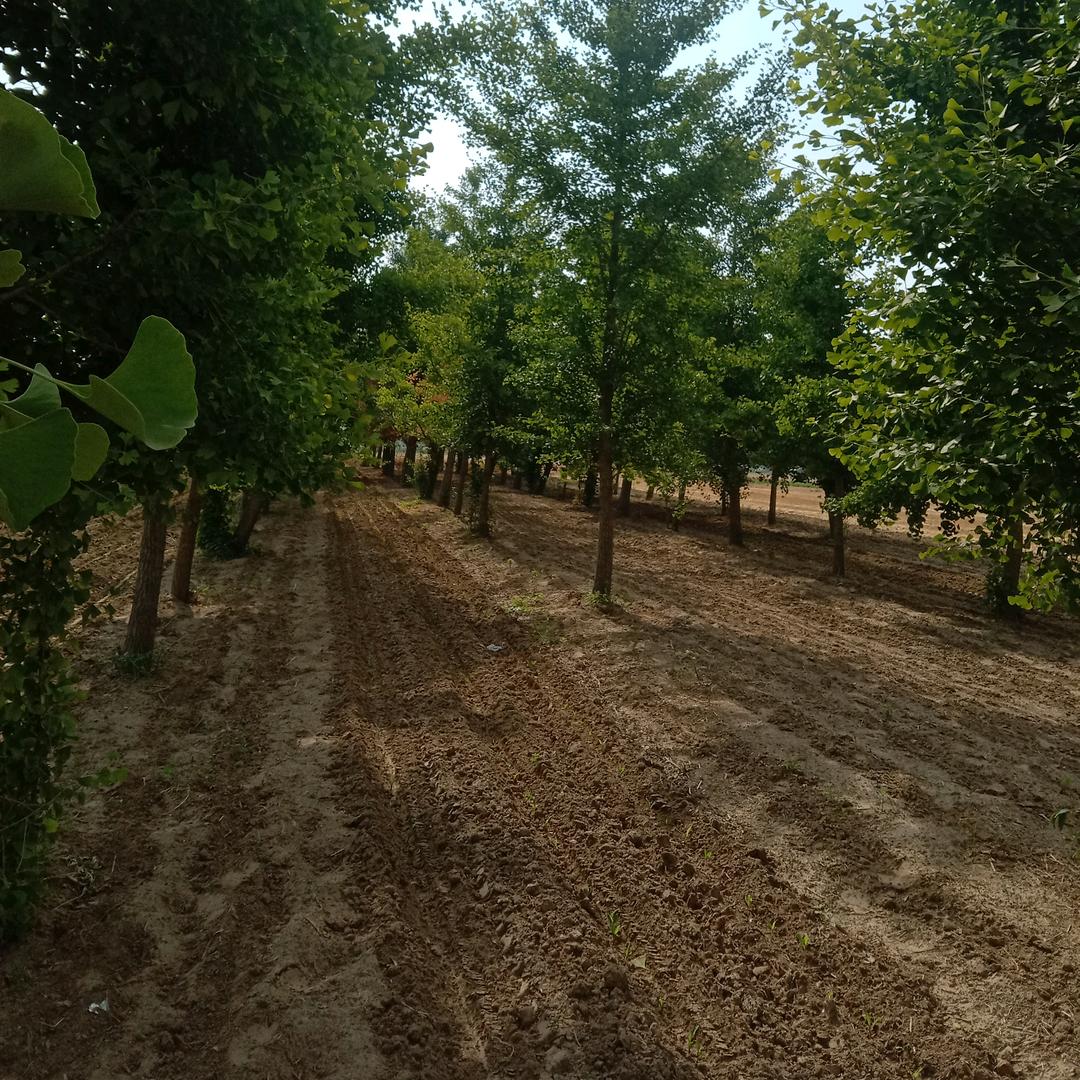 巜美你我也行》