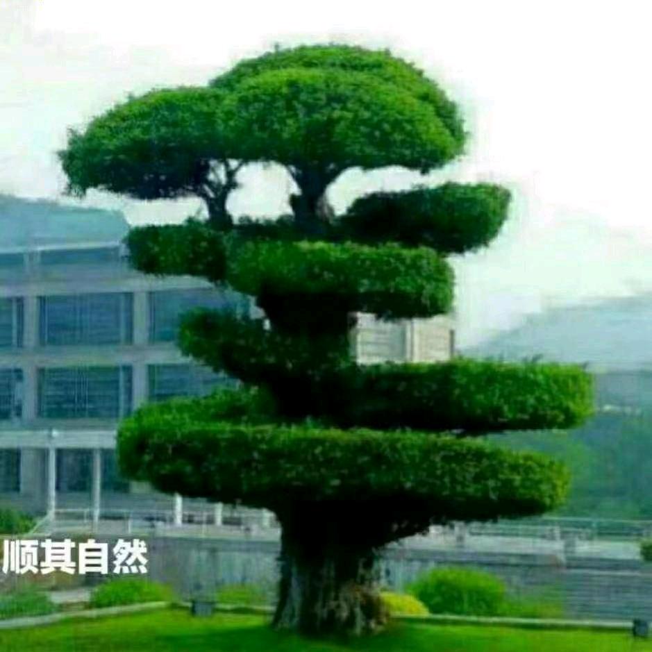 ༄℘终是ꦸ꯭遗憾ꦾᩚ࿐