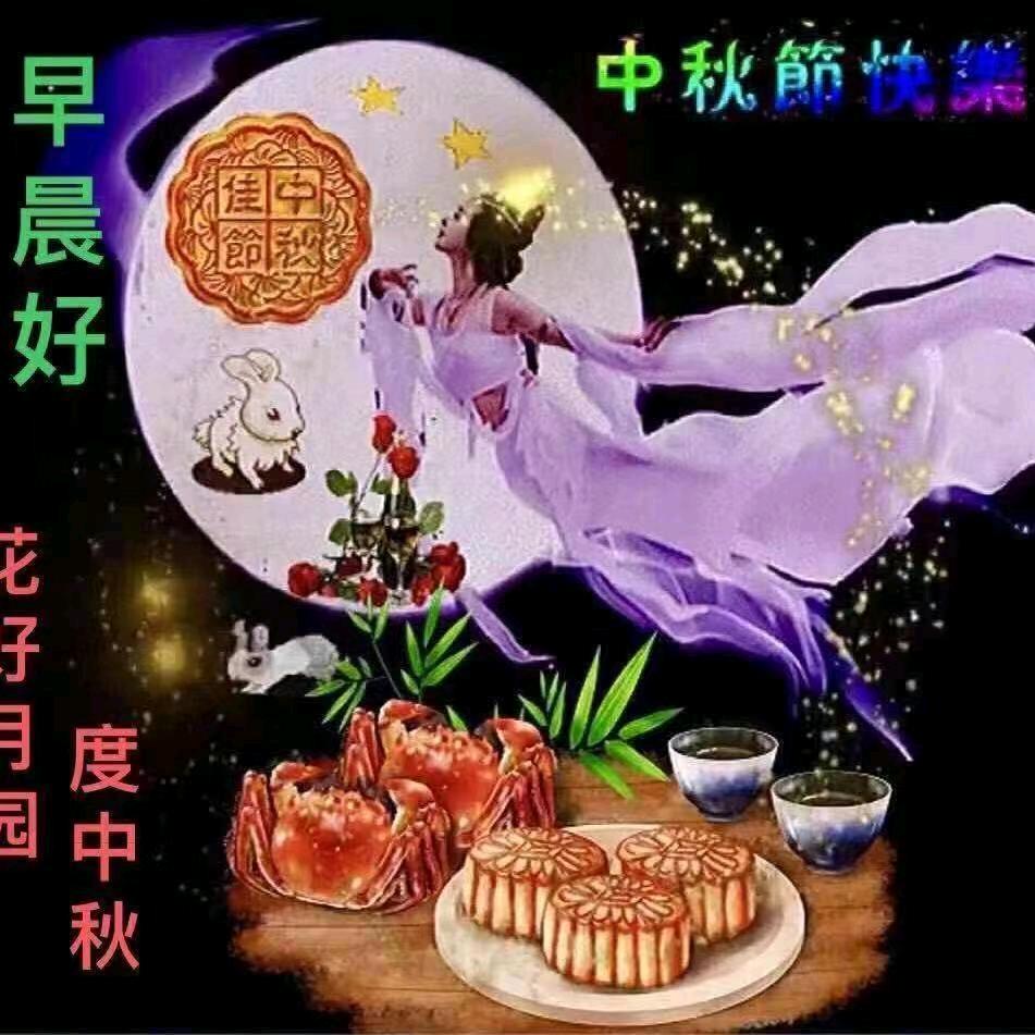 封心锁爱