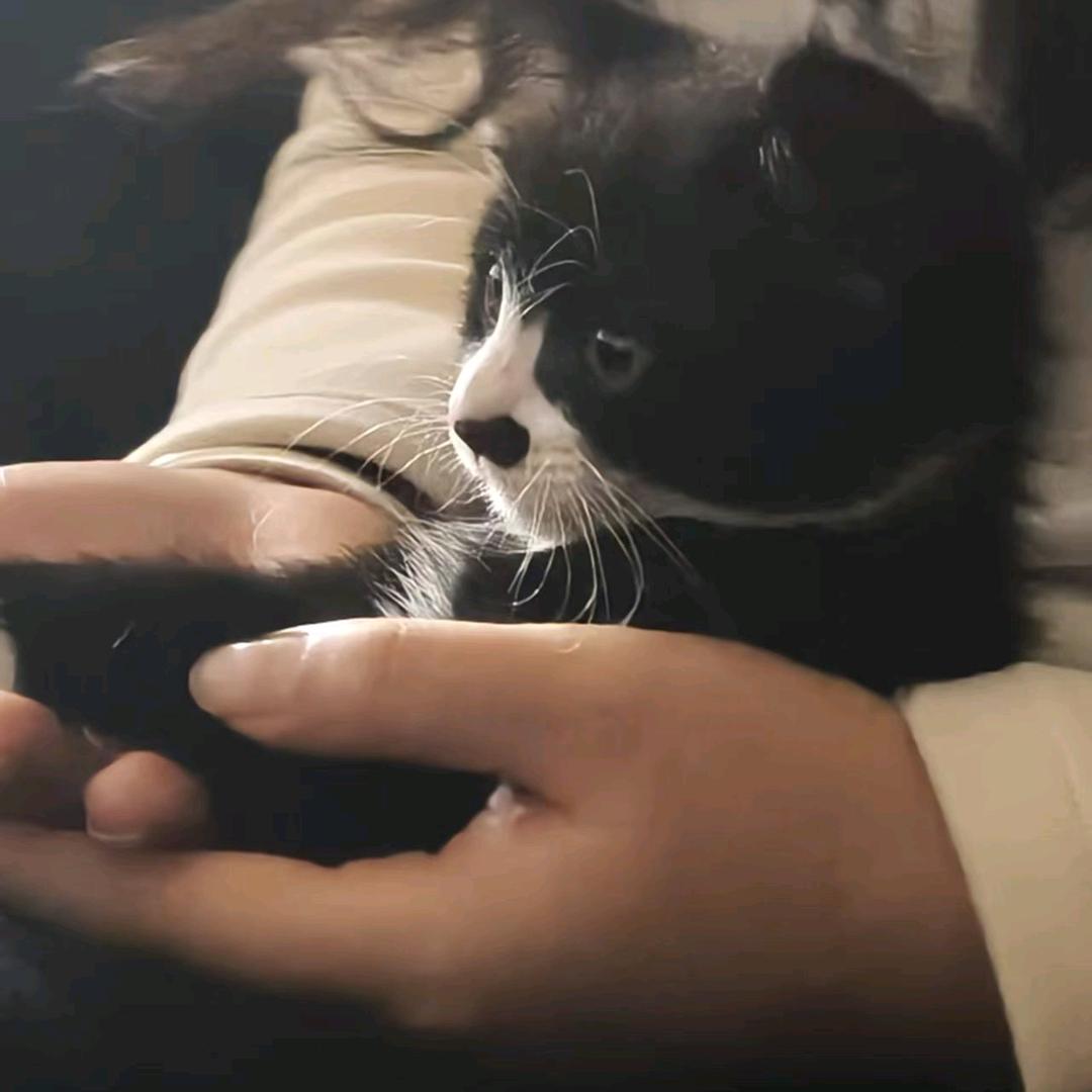 辞忧.