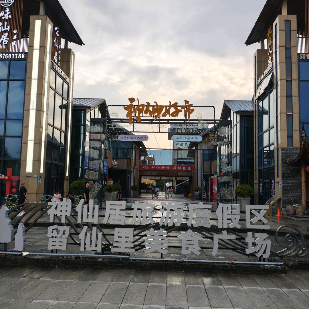 你真我也真