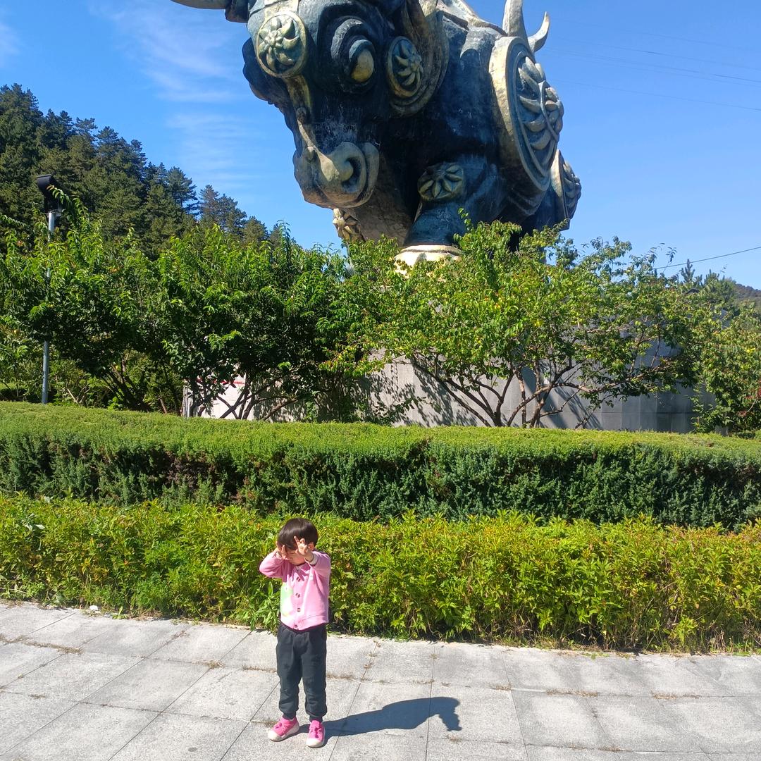 深冬暖阳