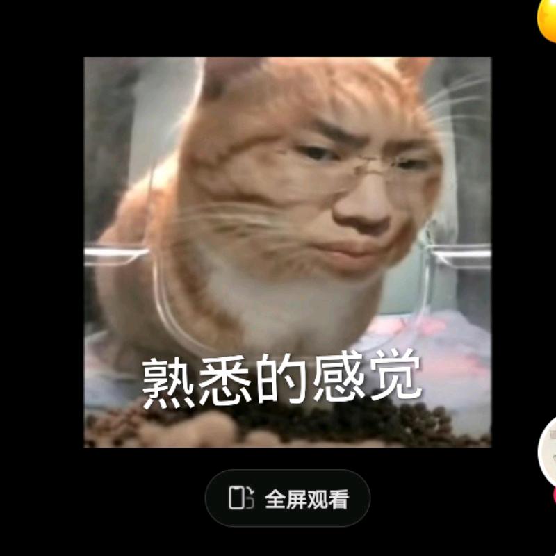 余晓伟