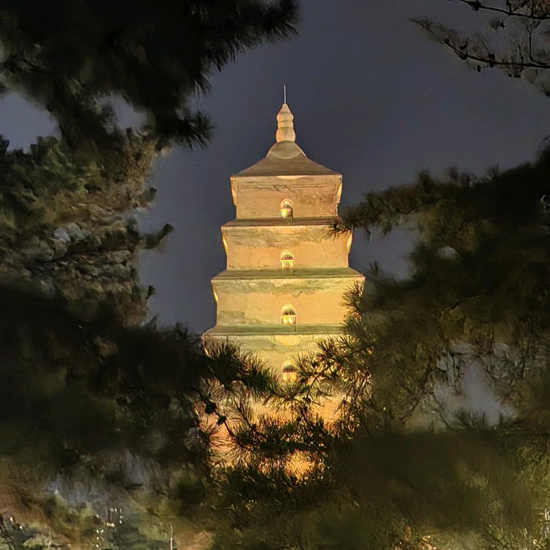 博索艺术搭子