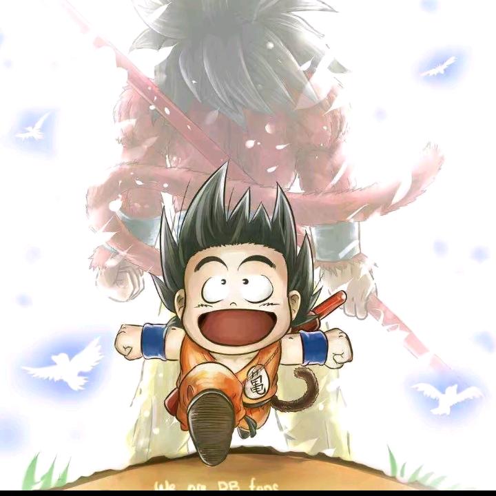 炒股养家