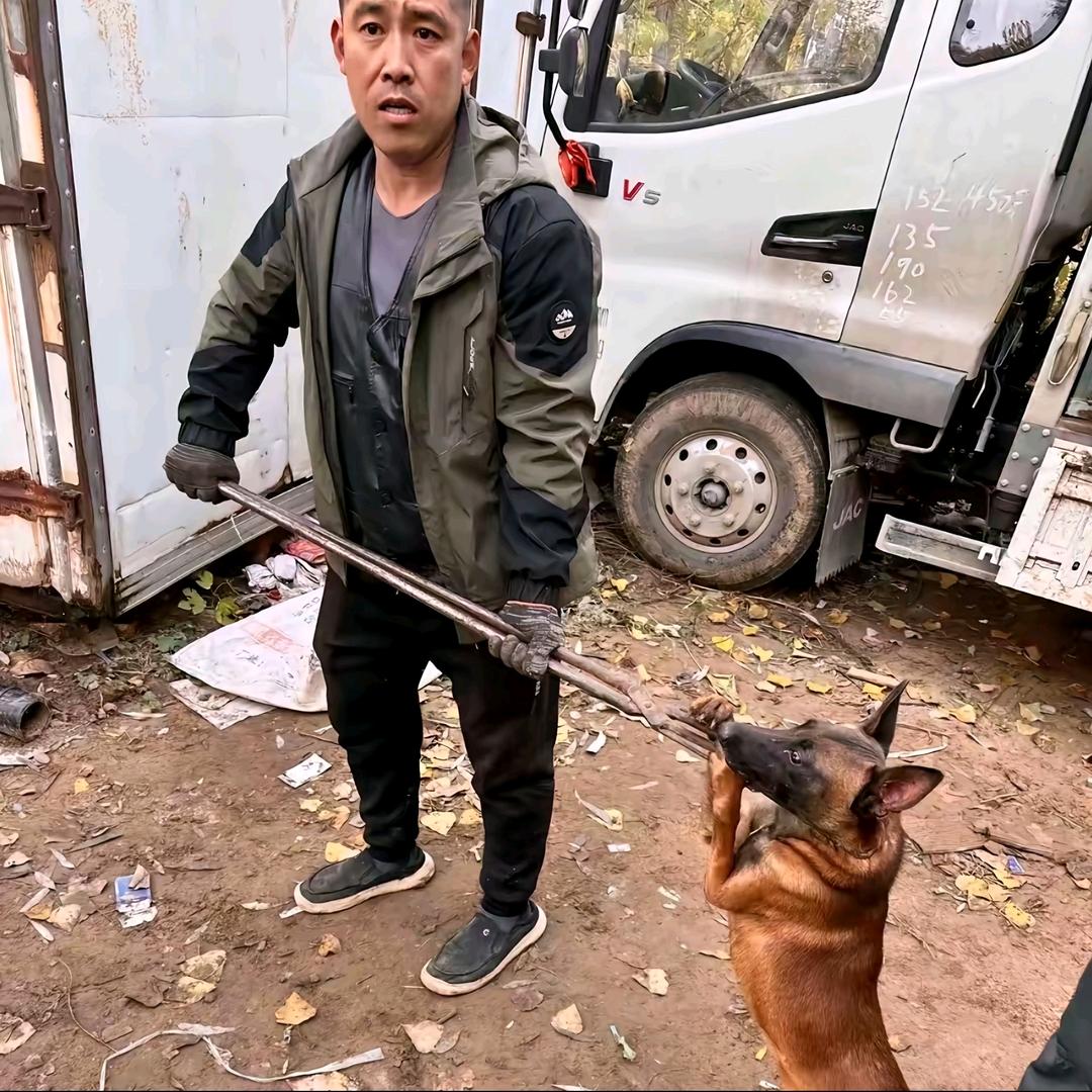 AA 专业套狗赵师傅