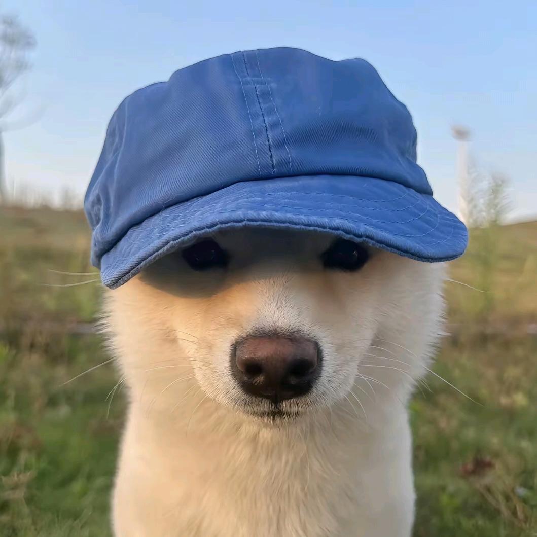 取名字想半天😥