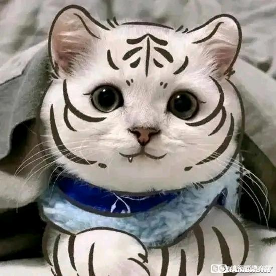 百无禁忌