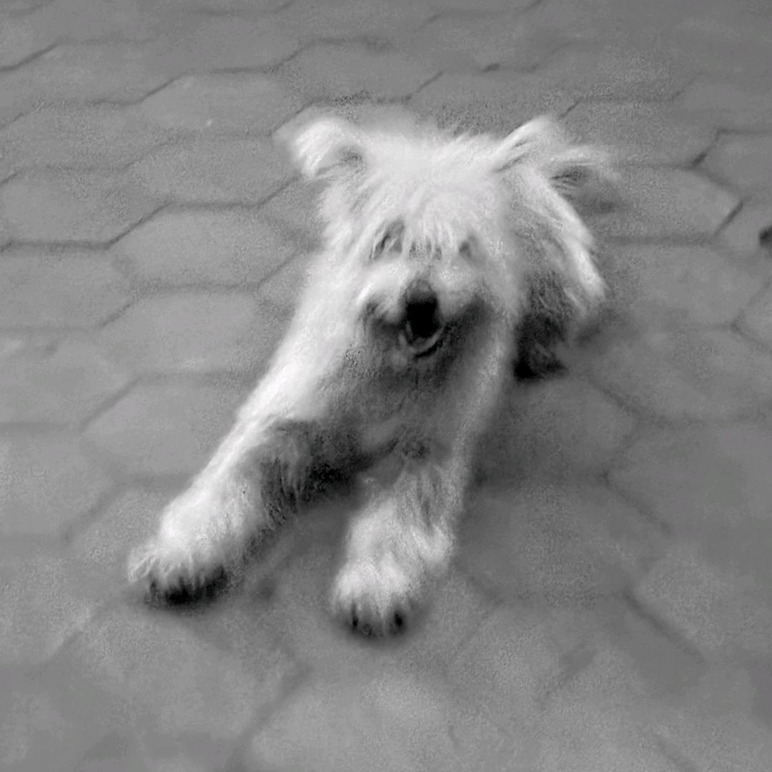 o_o
