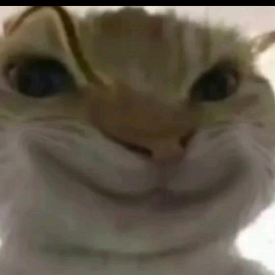 哈基米南北绿豆🔪