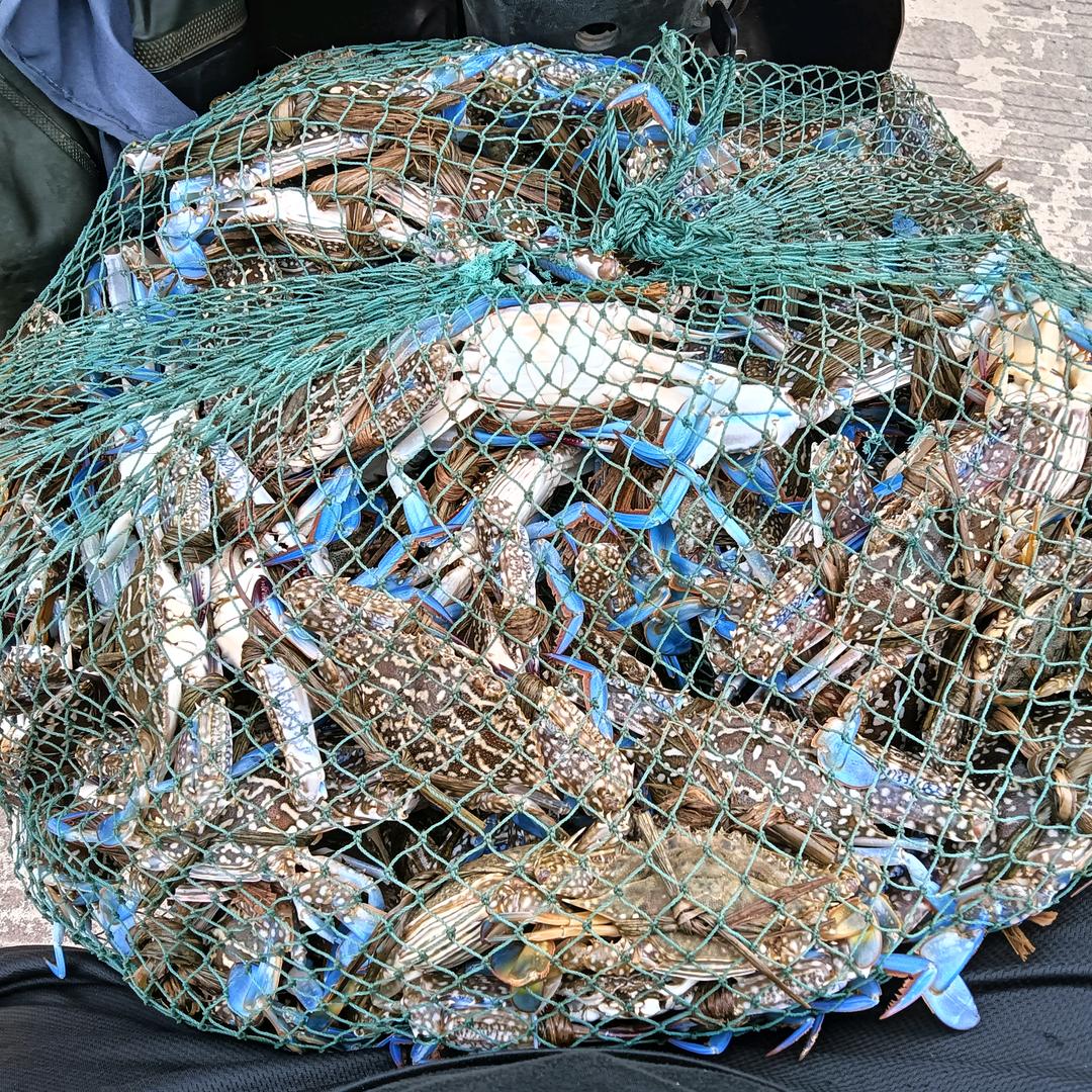 柳州人在防城港（赶海捕鱼)