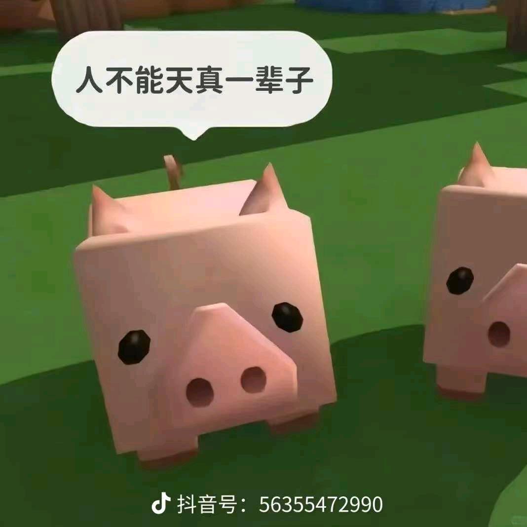 我是灵珠