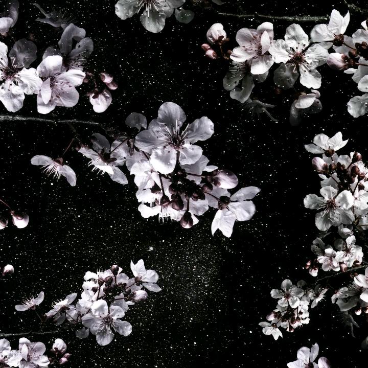 不知