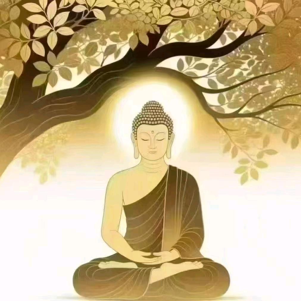 华仔一路前行