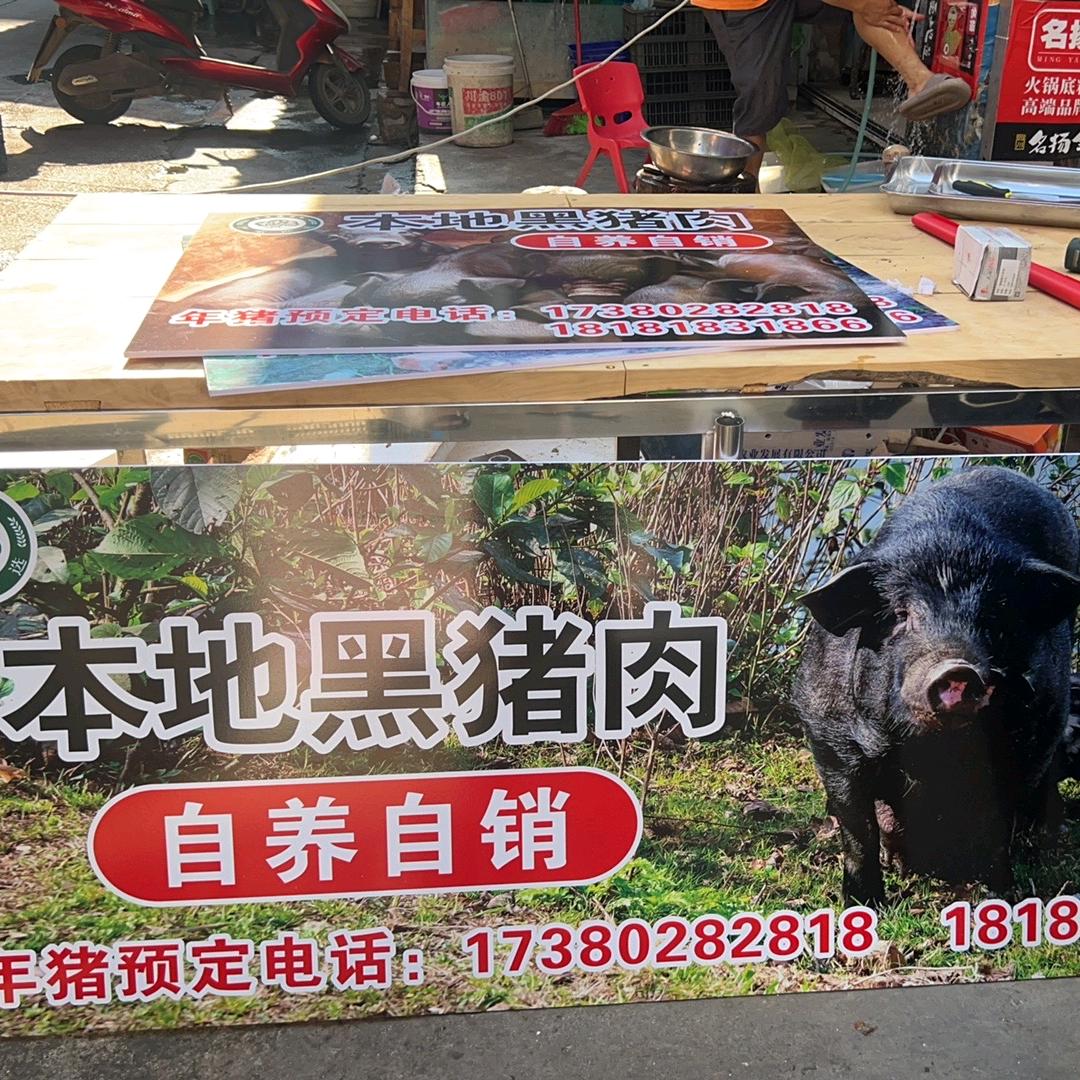 本地黑猪肉严强