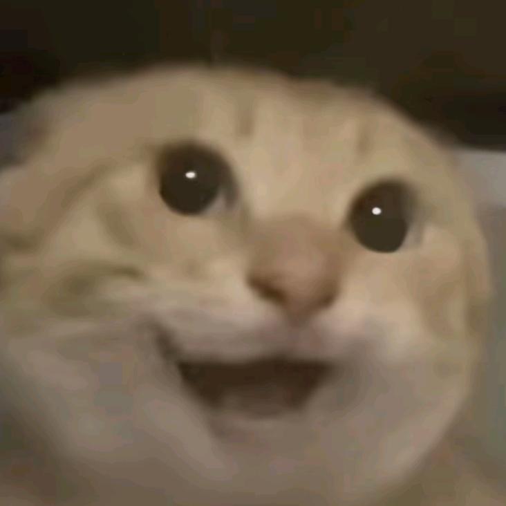 卡斯特梅的雨季