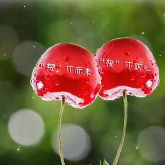 樱桃