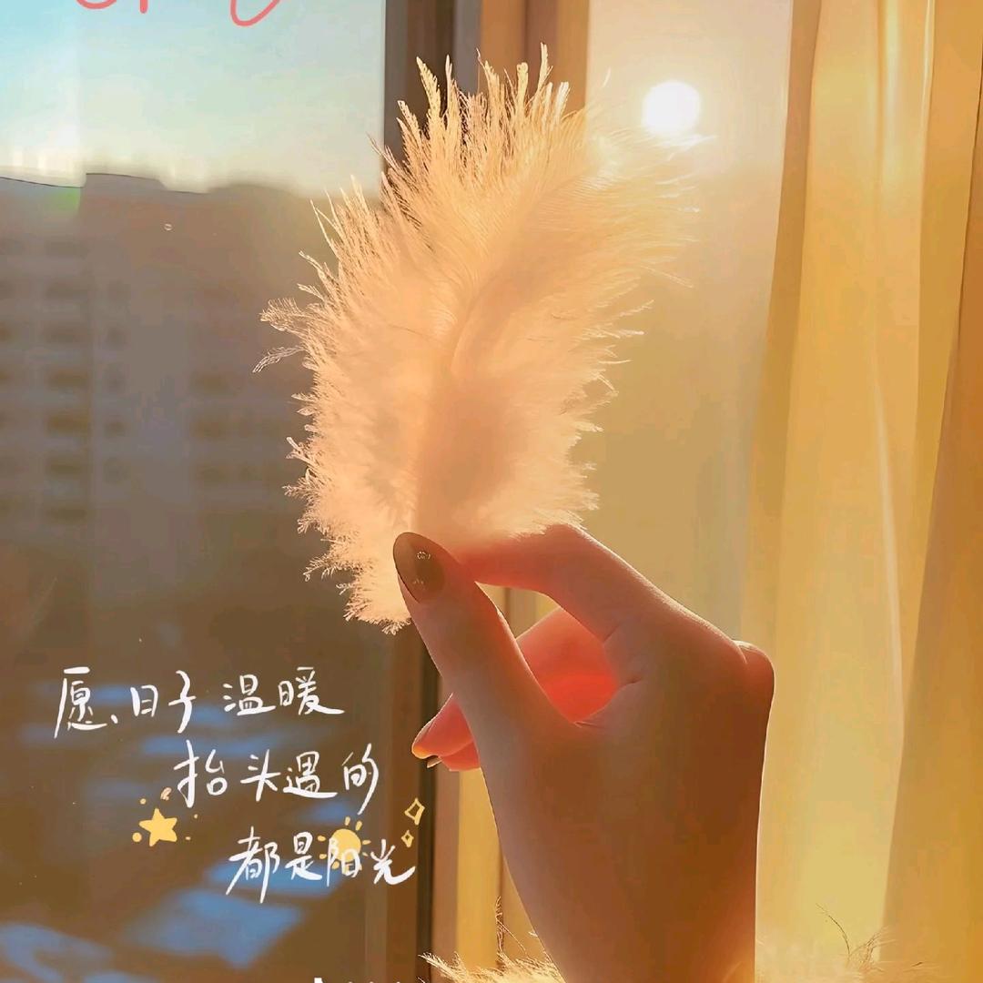 ʚʕ̯•͡˔•̯᷅: :: ྀི🍓ྀི