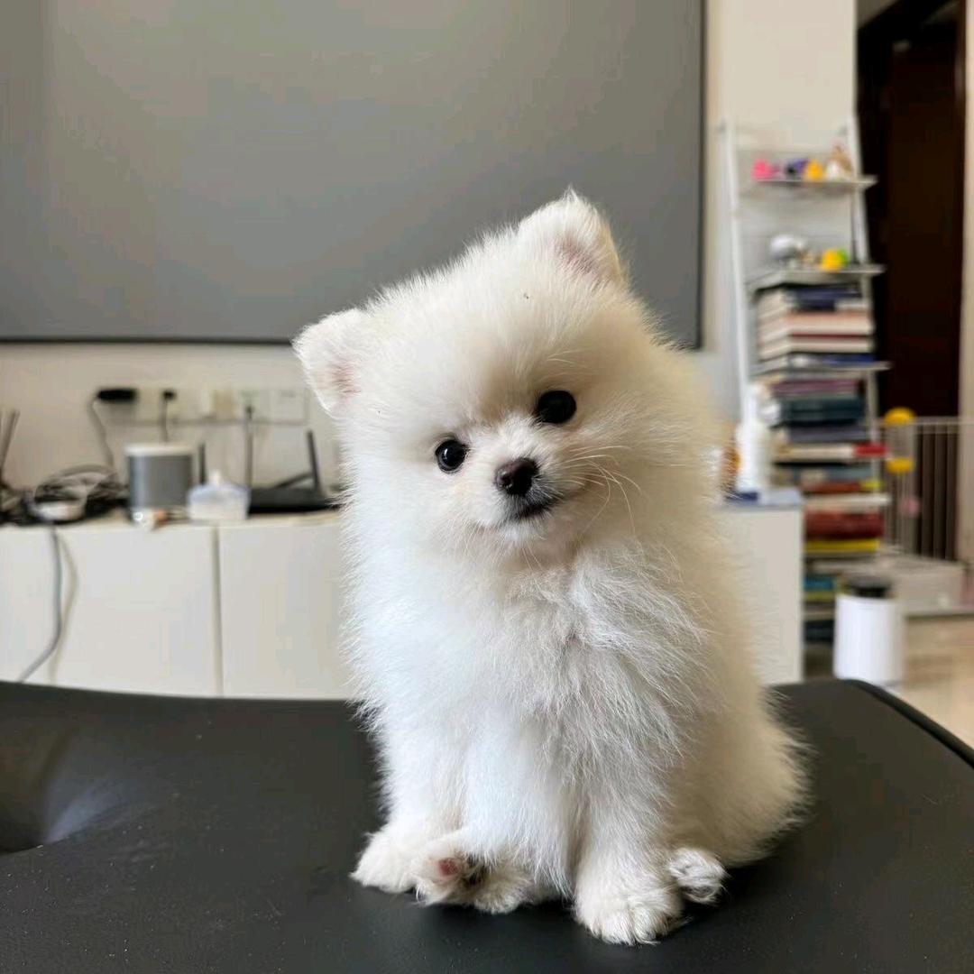 @🚬🥀⃟老衲༒贝大爺ഒᩚ࿐