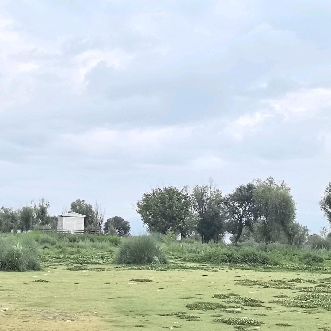 雅学—诗歌的随行者