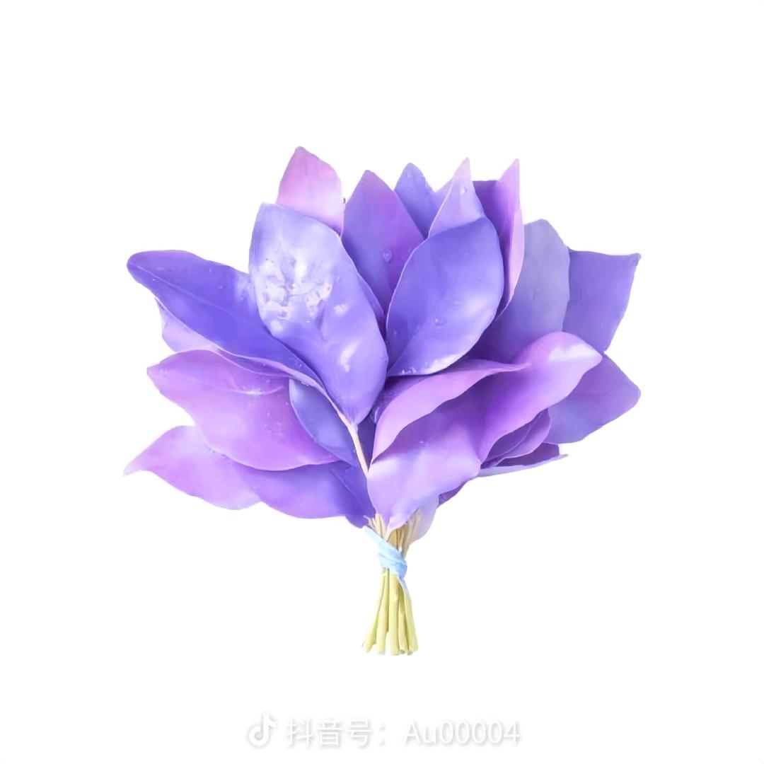 邪恶毒蛇黑寡妇