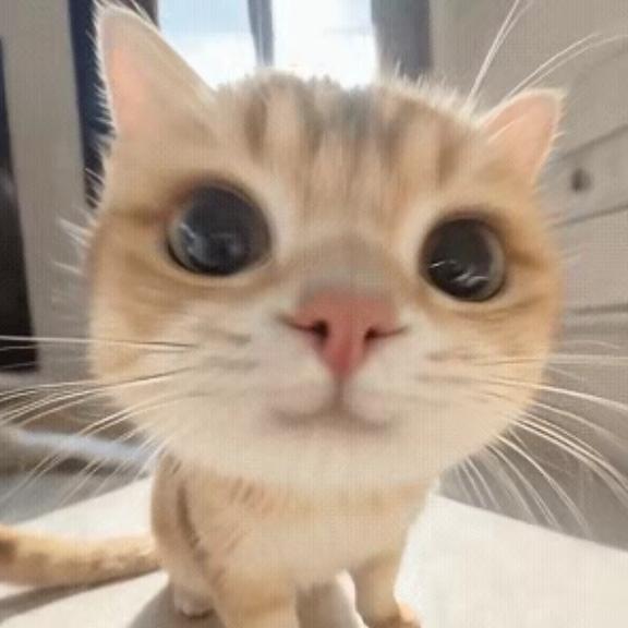 将我的世界点亮