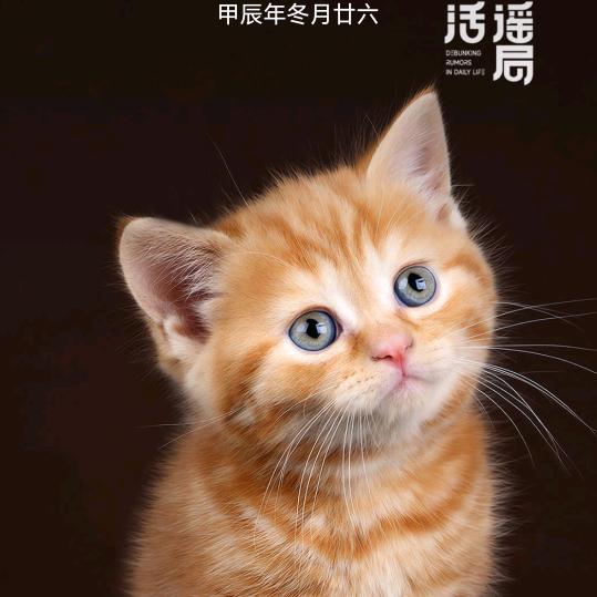 栗子讲故事