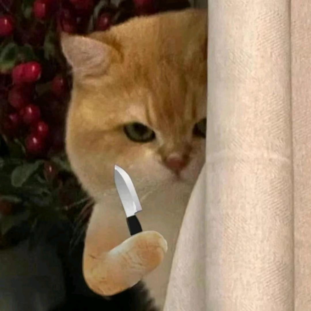 AAA周润发偷鱼小杨