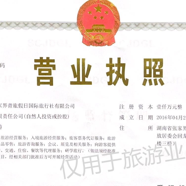 张家界青旅假日国际旅行社有限公司