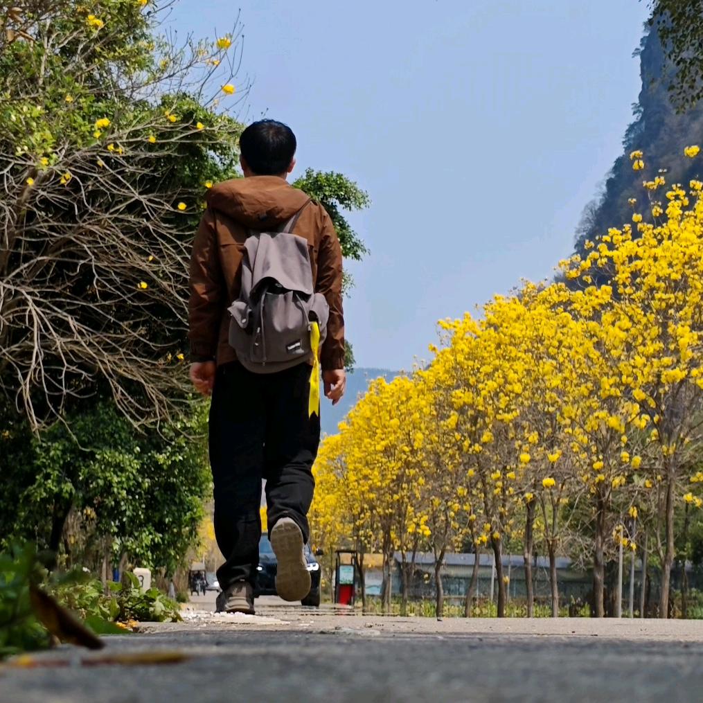 拍照的杰哥（可约拍）