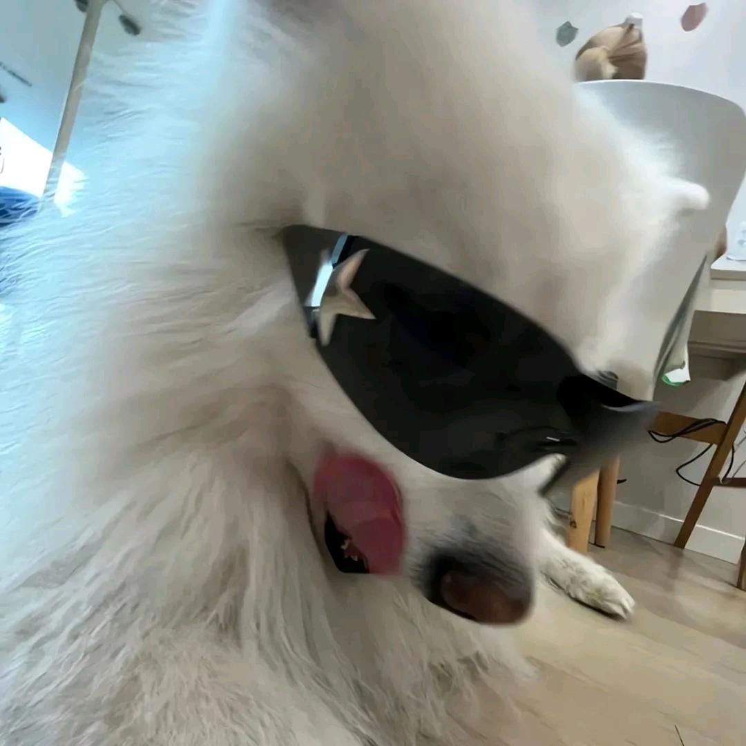 野望