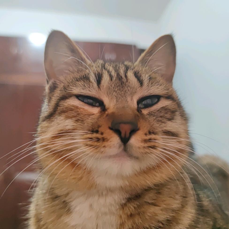 IAM和谐z