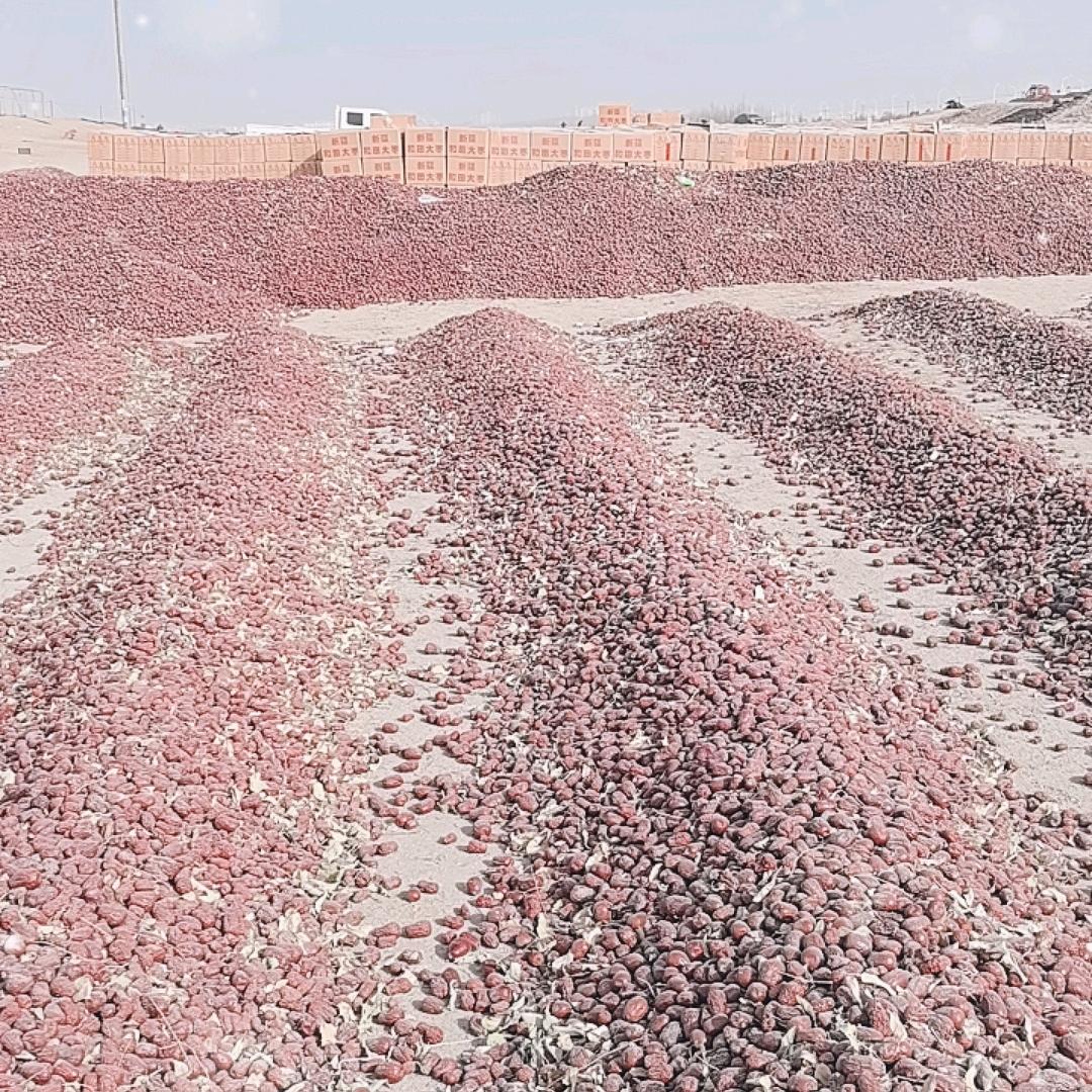 新疆大枣—产地直发