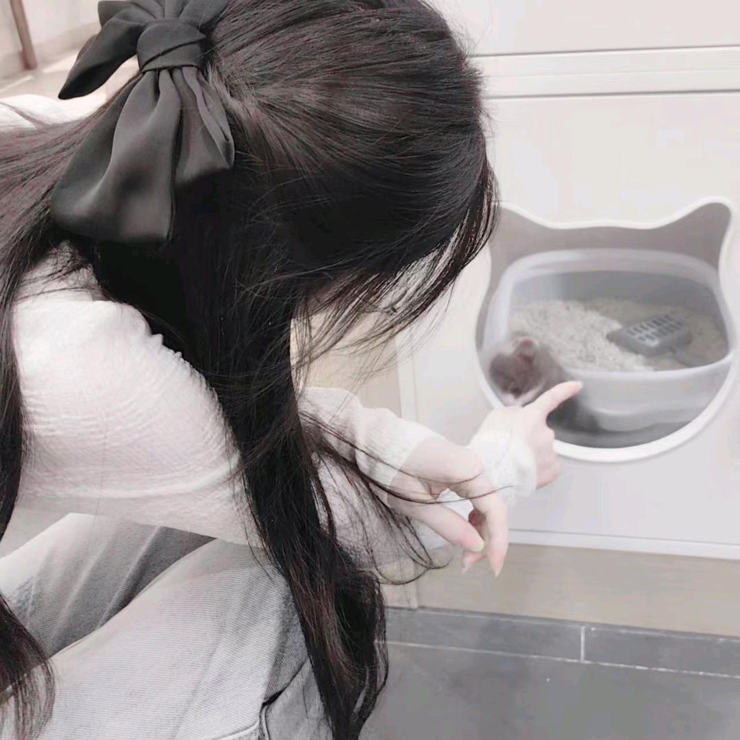 多云转小禹