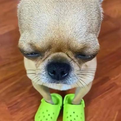 留言信