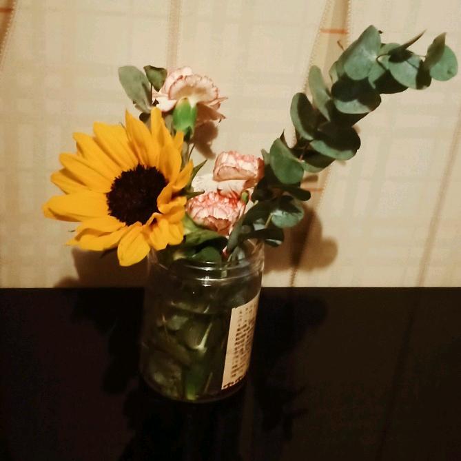 易梦琳的美食生活