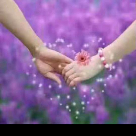 不用你教我懂.🌷🌷