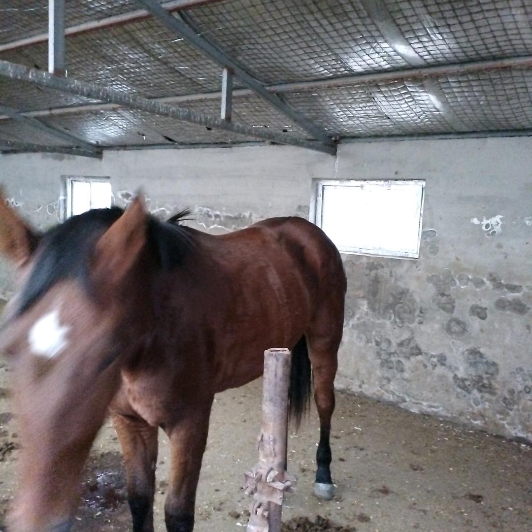 走南闯北，林哥，交各位朋友