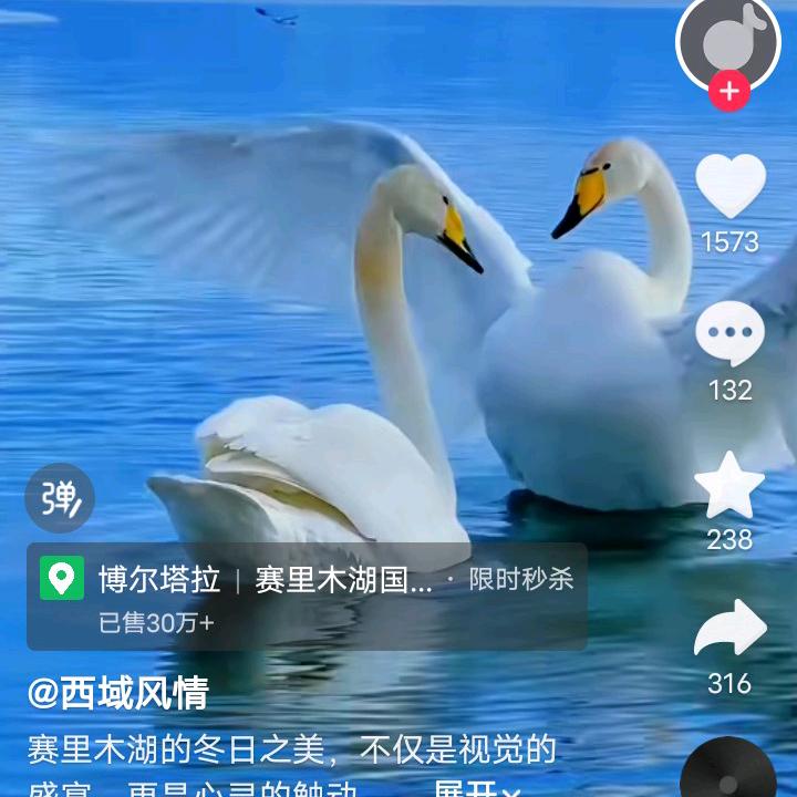 忧郁小呆猫＾头像