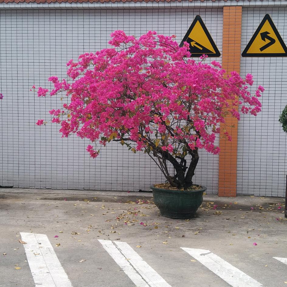 奋斗就力量
