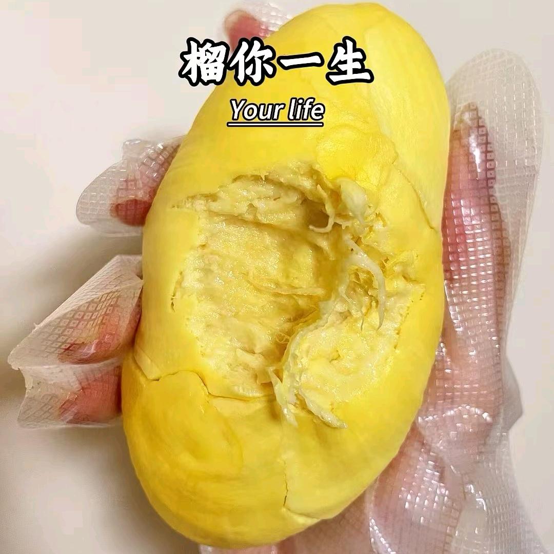 时客商贸馋嘴猫