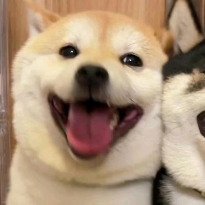 鹿豆子